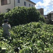 近隣対策の草刈り