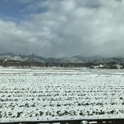 今回は丹波篠山市