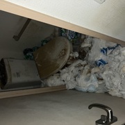 ごみ屋敷の片付け