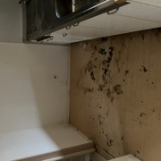ごみ屋敷の片付け