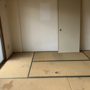 ごみ屋敷の片付け