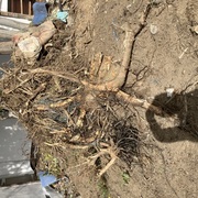 国土交通省と兵庫県の仕事