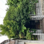 空き家を放置しておくと・・・