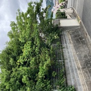 空き家を放置しておくと・・・