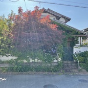 空き家を放置しておくと・・・